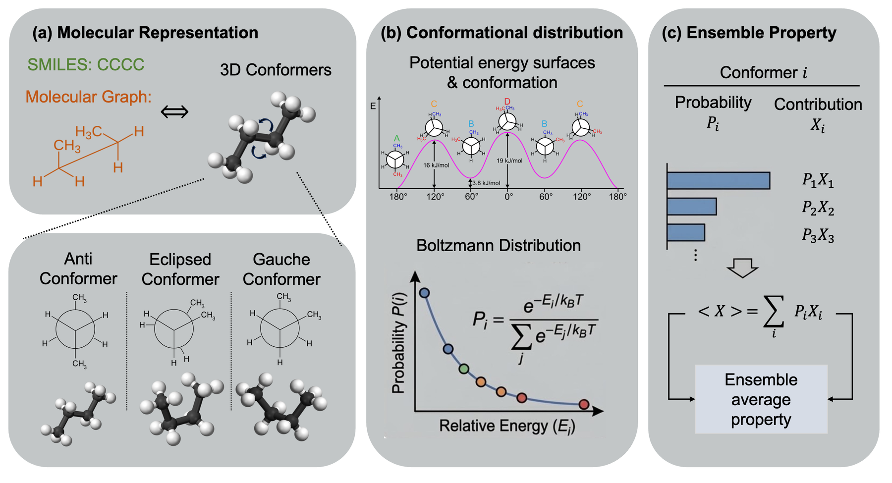 Suiren graphical abstract illustrating molecular representations conformational distributions and ensemble properties