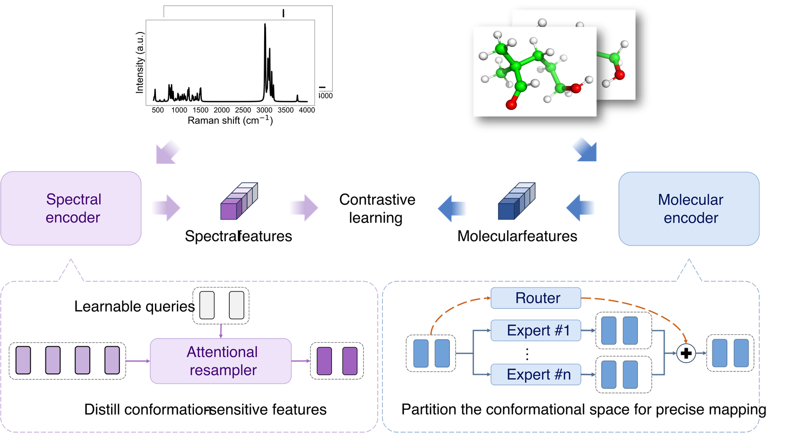 Vib2Conf graphical abstract showing spectral and molecular encoders for conformation discrimination